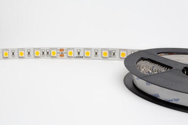 LED Strip Warm White IP20 - hybridhouse