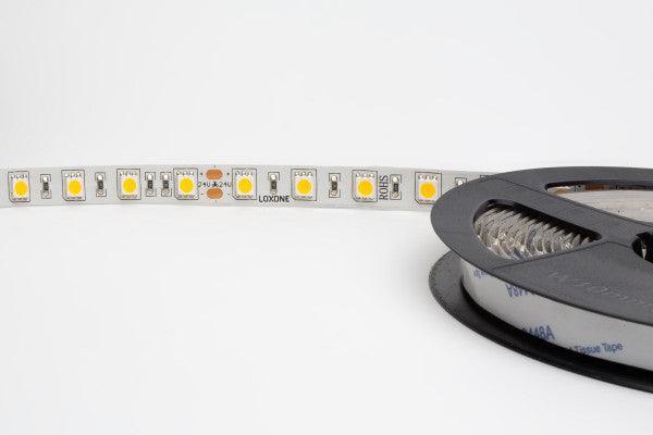 LED Strip Warm White IP65 (Splashproof) - hybridhouse