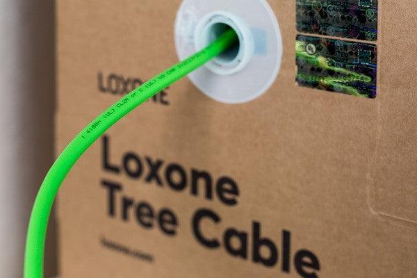Tree Cable (spooled) - hybridhouse