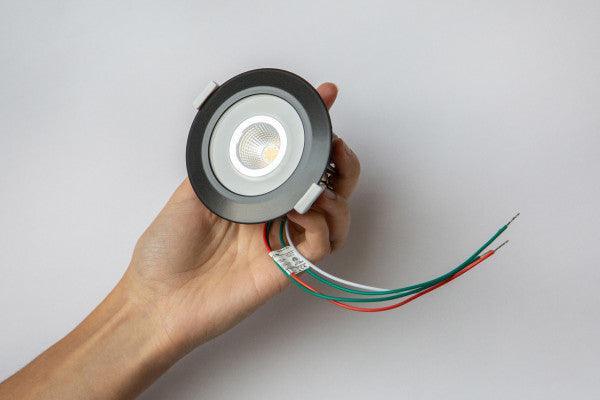 LED Spot RGBW Tree Anthracite - hybridhouse